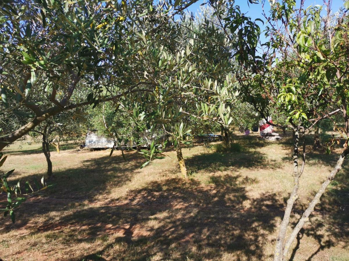 Jacuzi Cottage In The Olive Grove Пула Экстерьер фото