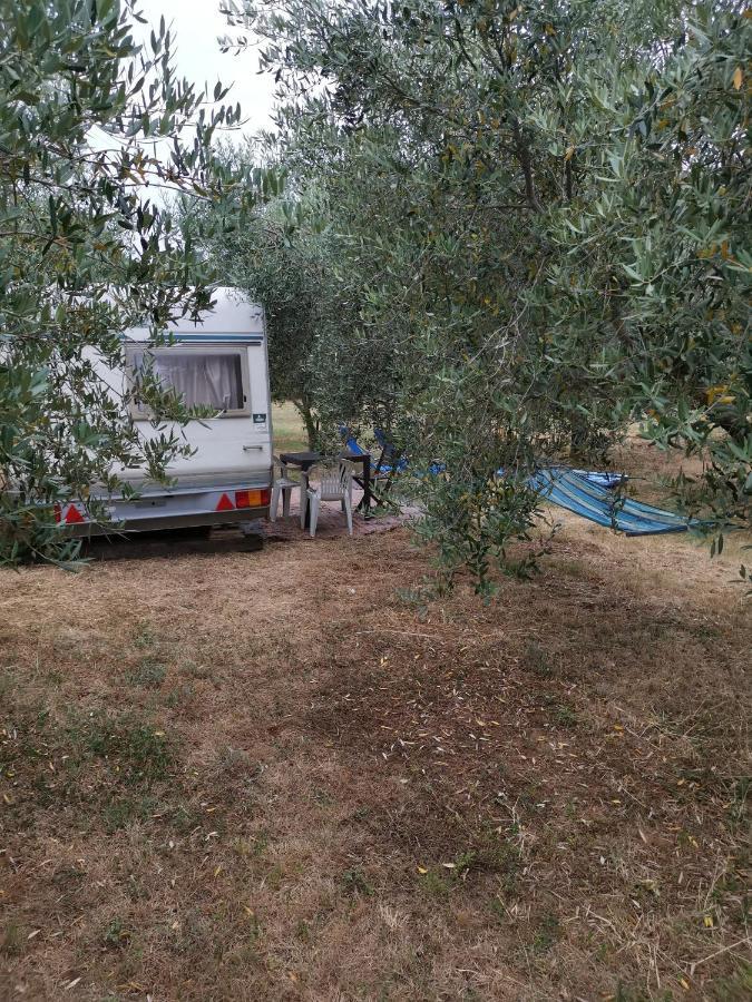 Jacuzi Cottage In The Olive Grove Пула Экстерьер фото