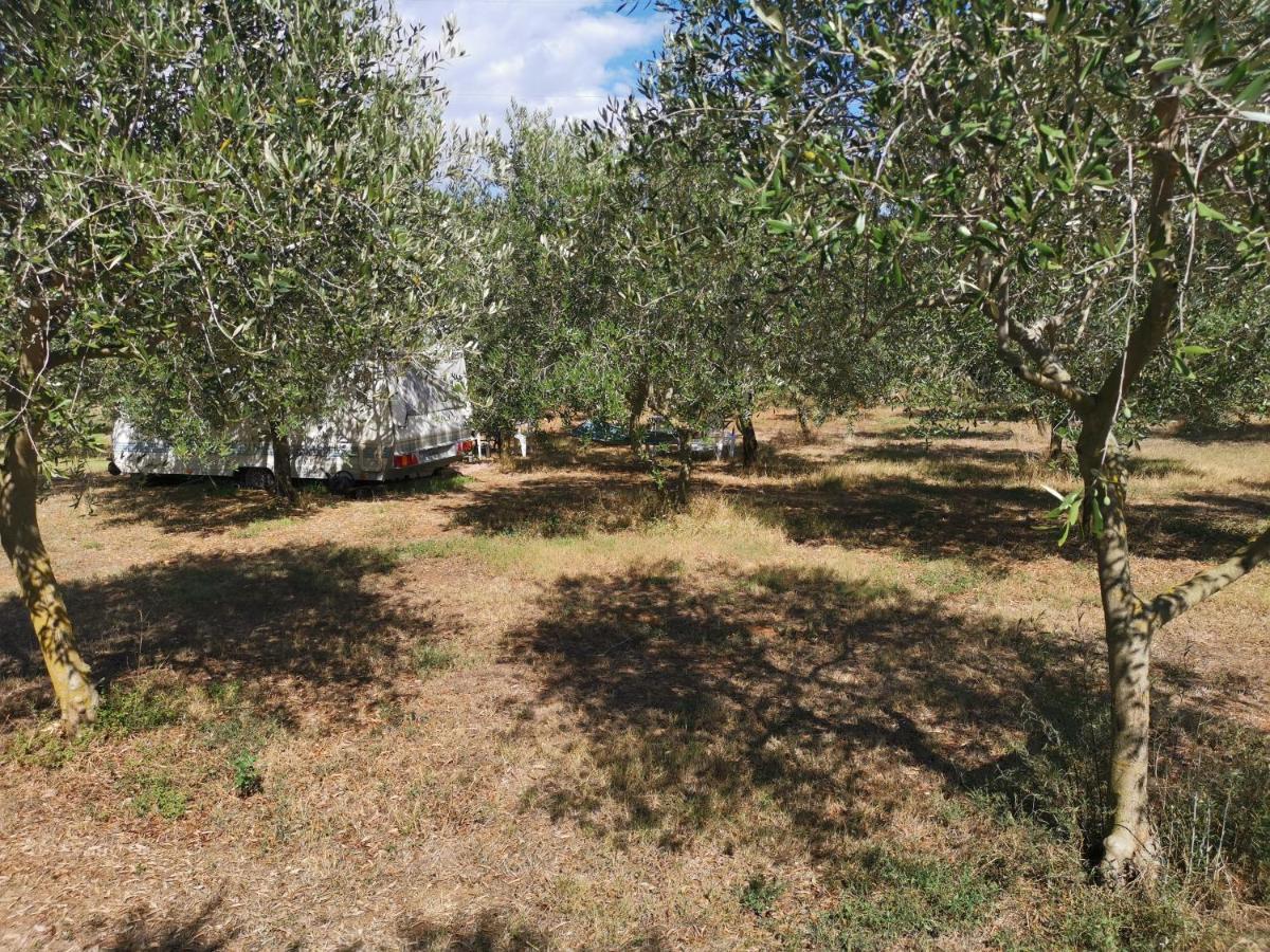 Jacuzi Cottage In The Olive Grove Пула Экстерьер фото